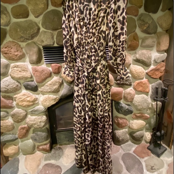 New! Leopard Print Long Sleeve Maxi Dress - Picture 4 of 5